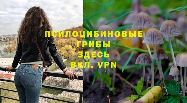 стафф Белоозёрский