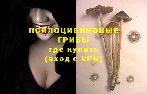 стафф Белоозёрский